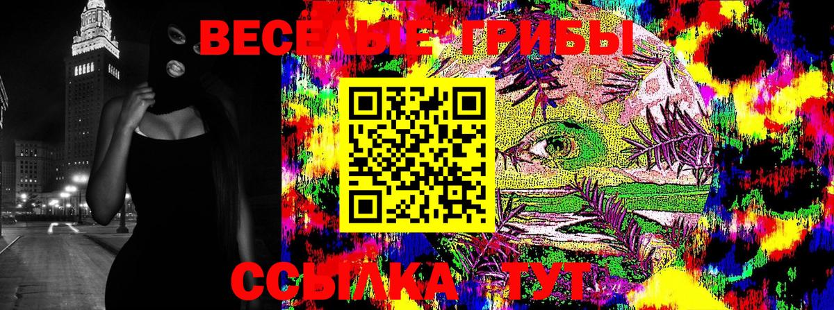 Галлюциногенные грибы Psilocybine cubensis Салехард
